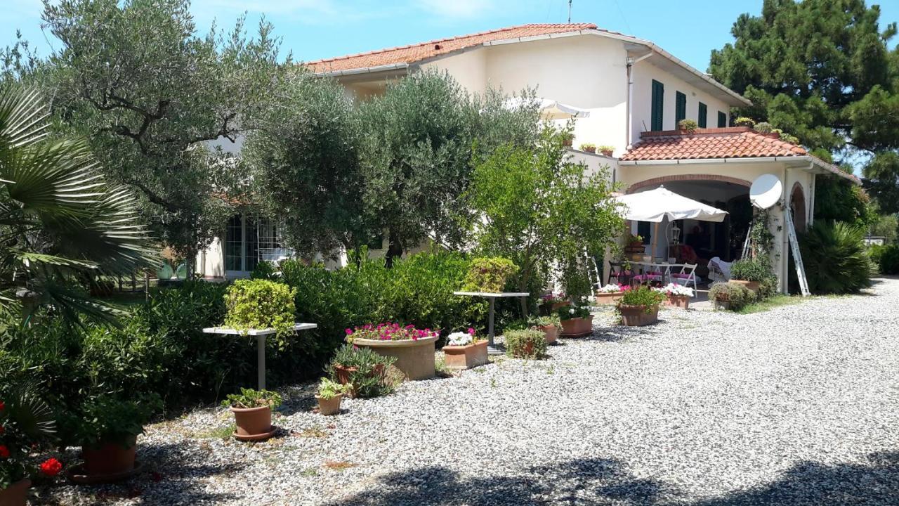 Campo Alle More Cecina  Eksteriør billede