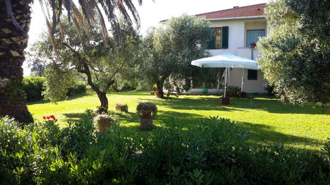 Campo Alle More Cecina  Eksteriør billede