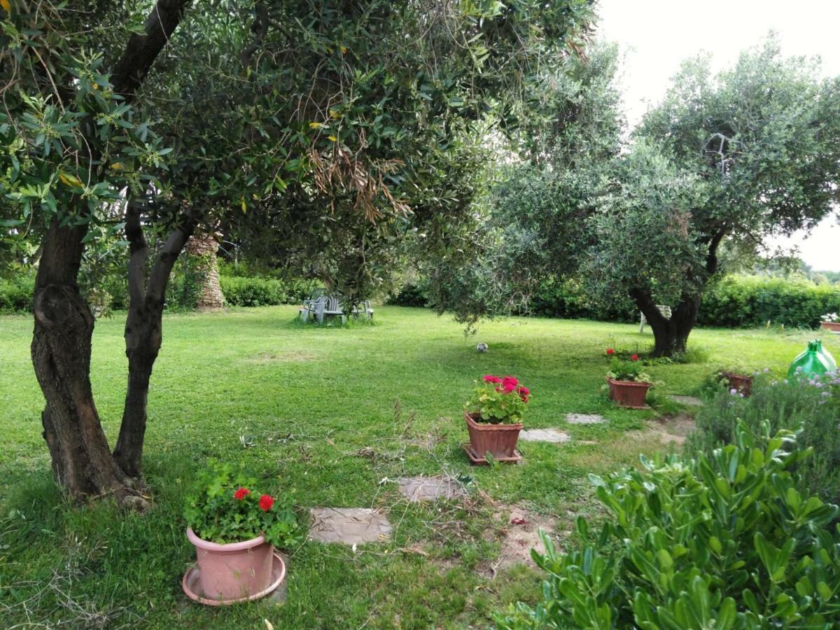 Campo Alle More Cecina  Eksteriør billede