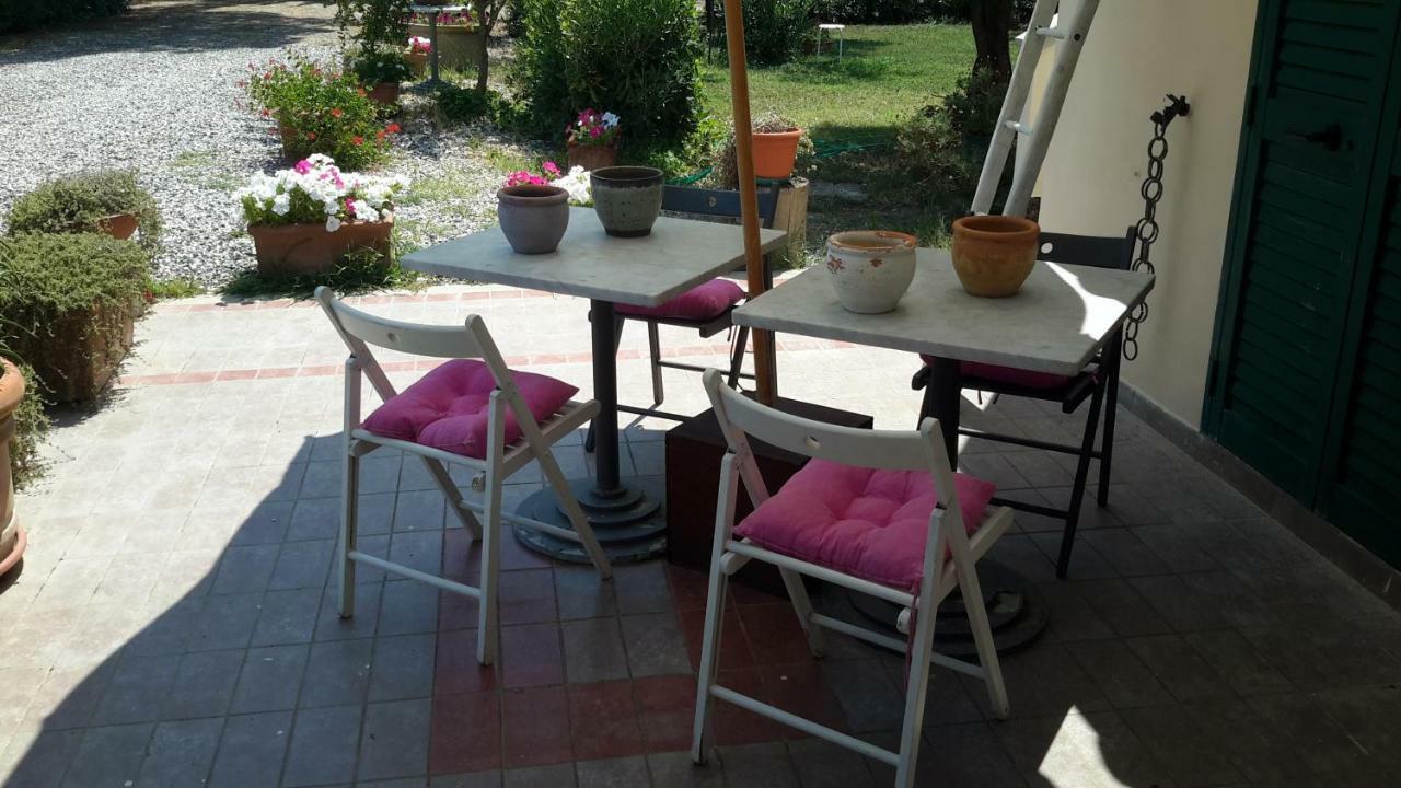 Campo Alle More Cecina  Eksteriør billede