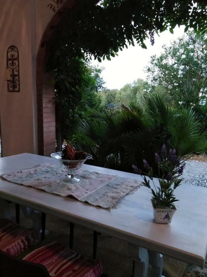 Campo Alle More Cecina  Eksteriør billede
