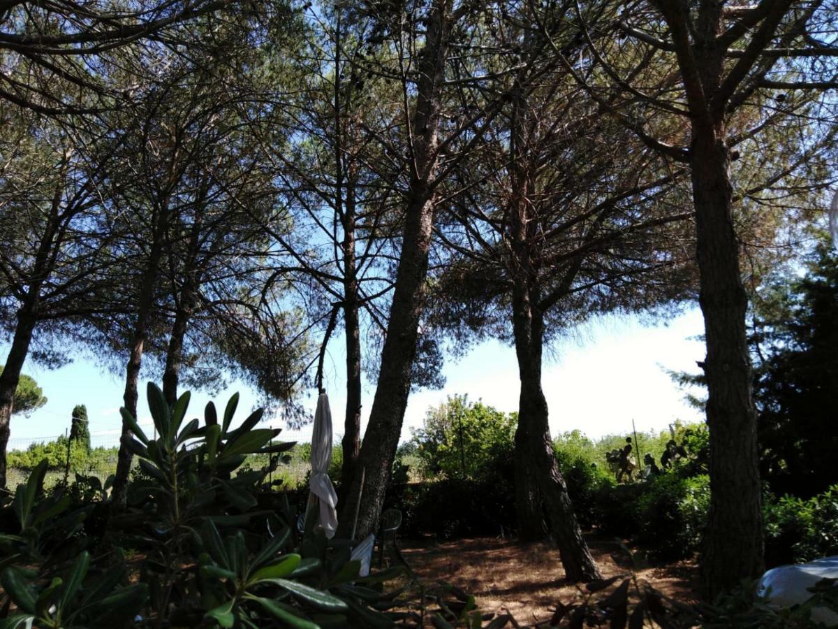 Campo Alle More Cecina  Eksteriør billede